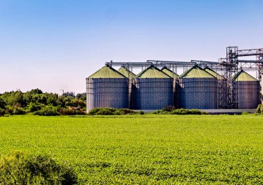 Ön planda tahıl ambarları ve arka planda mavi gökyüzü olan bir çiftlik..