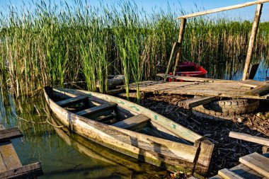 Küçük bir rıhtımın ve uzun otların yanında bağlı eski ahşap bir tekne.