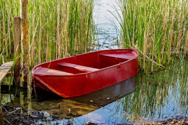 Kırmızı tekne su birikintisinin yanındaki sazlıklarda sıkıştı..