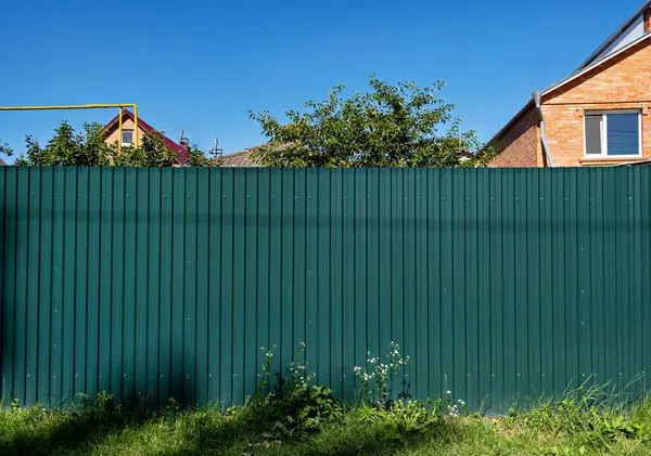 Güneşli bir günde tuğla binanın önündeki yeşil çit..