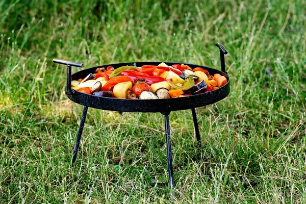 Portable grill with variety of vegetables on it including carrots and red peppers.