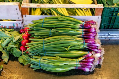 Masanın üzerinde duran yeşil soğan ve turp yığını..