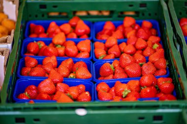 Masadaki mavi plastik kaplarda bir sürü çilek var..