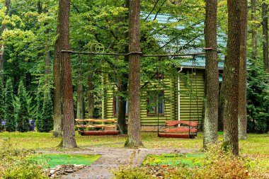 Arka planda evi olan bir ormanda salıncak.