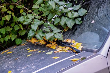 A car covered in leaves and debris clipart