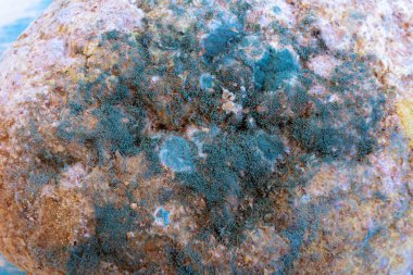 Bu resim çeşitli renk ve dokulara sahip bir kayanın yakın çekimini gösterir.