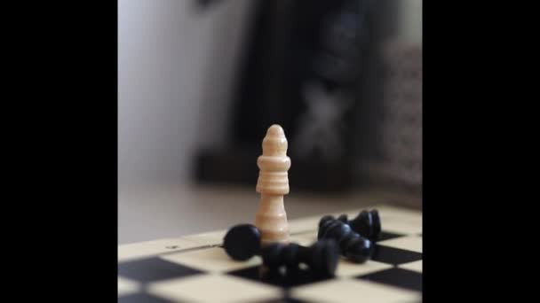 Chessboard Combination White Black Wooden Chess Figures Top View High — 비디오