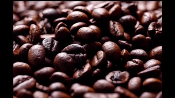 Close Coffee Beans Fragrant Coffee Beans — Stockvideo