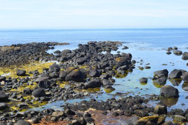Dalgalar, Kuzey İrlanda 'nın kayalık sahillerinde, Giants Geçidi' nde, büyüleyici, altıgen kaya oluşumuna çarpıyor..