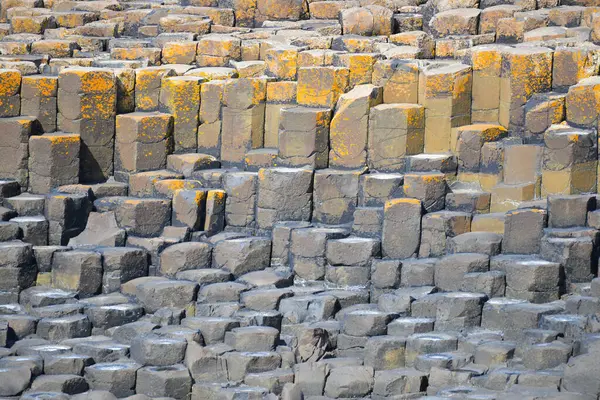 Dalgalar, Kuzey İrlanda 'nın kayalık sahillerinde, Giants Geçidi' nde, büyüleyici, altıgen kaya oluşumuna çarpıyor..