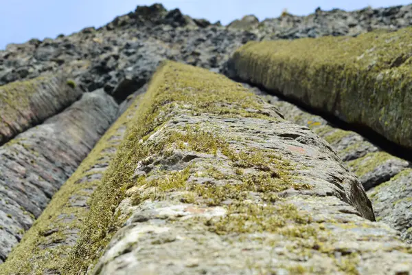 Dalgalar, Kuzey İrlanda 'nın kayalık sahillerinde, Giants Geçidi' nde, büyüleyici, altıgen kaya oluşumuna çarpıyor..