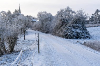 Kış manzarası karla kaplı ağaçlar ve caddeler