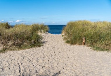 Kumların arasından sahil girişi, arka planda baltık denizi.