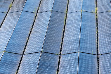 expansive array of solar panels aligned in a grid-like pattern. The panels capture sunlight, converting it into clean, renewable energy. Small patches of greenery are visible between rows clipart