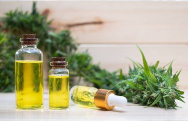 Odun arka planında esrar bulunan yağlı cannabidiol CBD