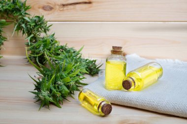Odun arka planında esrar bulunan yağlı cannabidiol CBD