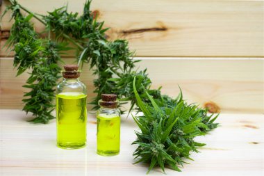 Odun arka planında esrar bulunan yağlı cannabidiol CBD