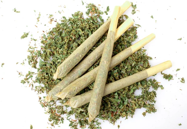 Előre Feltekert Marihuána Apróra Vágott Kannabiszbimbók Fehér Alapon — Stock Fotó