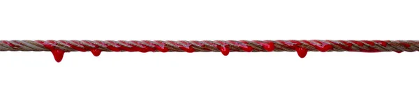 Steel Wire Rope Stained Blood Isolated White Background — Stock Photo, Image
