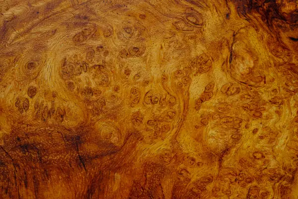 Stock image Natural Afzelia burl wood striped is a wooden beautiful pattern for background