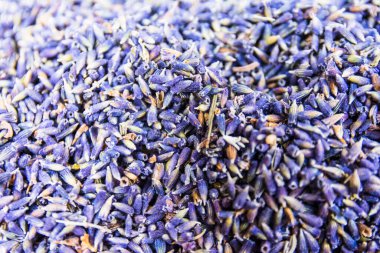 Moustiers Sainte Marie, Provence, Provence Alpes Cote d'Azur, France