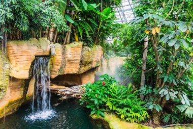 Zoological park of Beauval