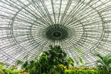 Zoological park of Beauval