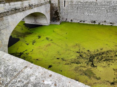 Sully-sur-Loire Şatosu, Fransa. Kale Loire Vadisi 'nde. Sully-sur-Loire, Fransa.