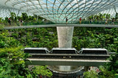 Singapur, 7 Nisan 2025: Parallax view of indoor Singapur rain vortex şelale in rain forest Jewel Changi Airport Singapur