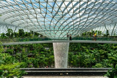Singapur, 7 Nisan 2025: Parallax view of indoor Singapur rain vortex şelale in rain forest Jewel Changi Airport Singapur
