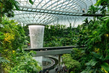 Singapur, 7 Nisan 2025: Parallax view of indoor Singapur rain vortex şelale in rain forest Jewel Changi Airport Singapur