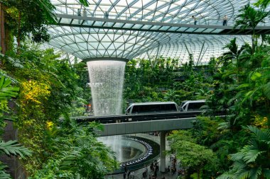 Singapur, 7 Nisan 2025: Parallax view of indoor Singapur rain vortex şelale in rain forest Jewel Changi Airport Singapur