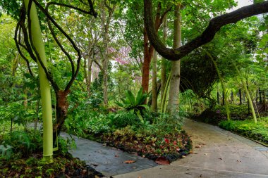 SINGAPORE - 8 Nisan 2025: Körfez ve Singapur 'daki Marina Körfezi Kumları' nın Bahçeleri