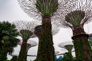 SINGAPORE - 8 Nisan 2025: Körfez ve Singapur 'daki Marina Körfezi Kumları' nın Bahçeleri