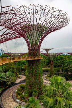 SINGAPORE - 8 Nisan 2025: Körfez ve Singapur 'daki Marina Körfezi Kumları' nın Bahçeleri