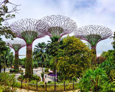 SINGAPORE - 8 Nisan 2025: Körfez ve Singapur 'daki Marina Körfezi Kumları' nın Bahçeleri