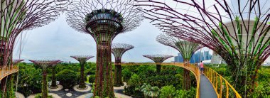 SINGAPORE - 8 Nisan 2025: Körfez ve Singapur 'daki Marina Körfezi Kumları' nın Bahçeleri