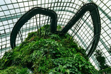 SINGAPORE - 8 Nisan 2025: Körfez ve Singapur 'daki Marina Körfezi Kumları' nın Bahçeleri
