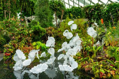 SINGAPORE - 8 Nisan 2025: Körfez ve Singapur 'daki Marina Körfezi Kumları' nın Bahçeleri