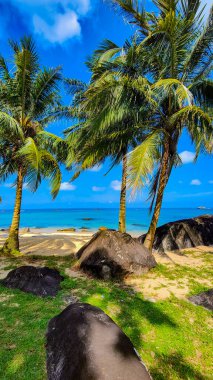 Malezya 'daki Pulau Tioman tropikal adası. Güney Çin denizi. Güneydoğu Asya