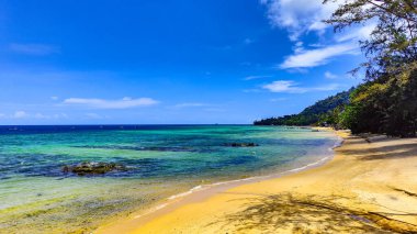Malezya 'daki Pulau Tioman tropikal adası. Güney Çin denizi. Güneydoğu Asya