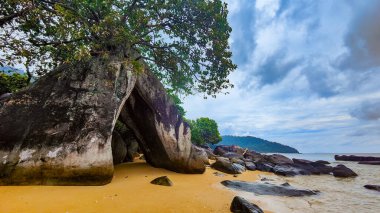 Malezya 'daki Pulau Tioman tropikal adası. Güney Çin denizi. Güneydoğu Asya