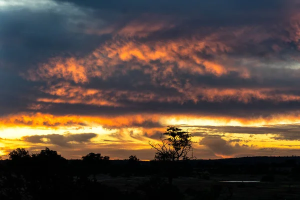 Sunset Musim Hijau Mashatu Game Reserve Blok Tuli Botswana — Stok Foto