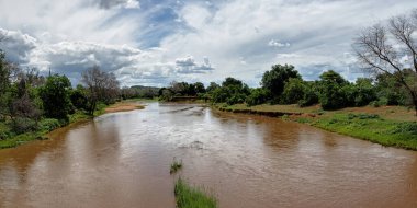 Yeşil mevsimde Güney Afrika 'da Kruger Ulusal Parkı' nın kuzey kesiminde manzara