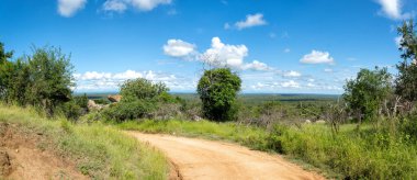 Yeşil mevsimde Güney Afrika 'da Kruger Ulusal Parkı' nın kuzey kesiminde manzara