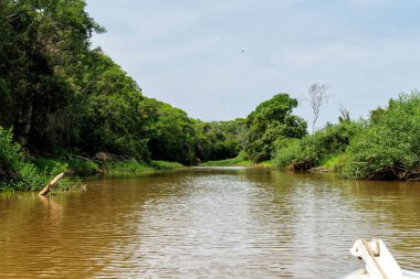 Mato Grosso 'daki Kuzey Pantanal' ın sulak arazisi Brezilya