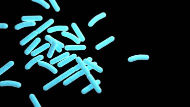 Bakteriler. İzole edilmiş. Prokaryotik mikroorganizmalar. Mavi ve siyah renk. 3d illüstrasyon.