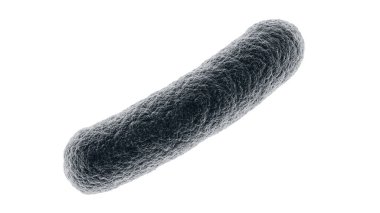 Bakteriler. Bakteri. Mavi renk. Prokaryotik mikroorganizmalar. Beyazda izole edilmiş. 3d illüstrasyon.