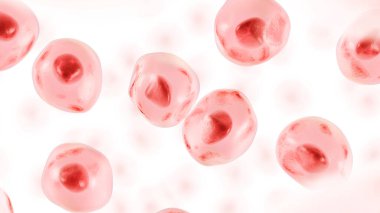 Embriyonik kök hücre. İnsan hücresi. 3d illüstrasyon.