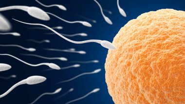 Döllenme. Yumurta ve sperm. Koyu mavi arka plan. Spermatozoon ve yumurtalık. 3d illüstrasyon.